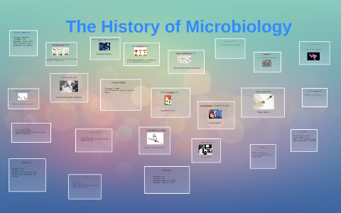 The History Of Microbiology By Nabil Hernandez On Prezi