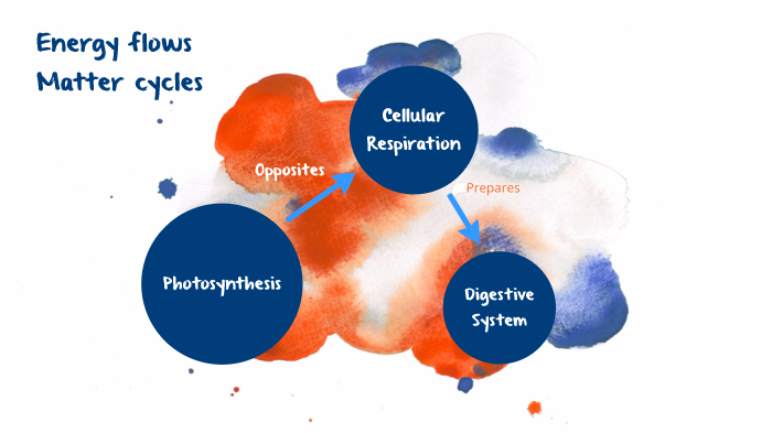 energy-flows-matter-cycles-by-brady-sussman