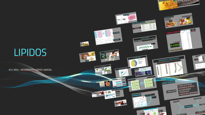 LIPIDOS by HERIBERTO lopez garza on Prezi