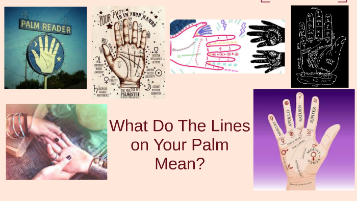 what-do-the-lines-on-your-palm-mean-by-abby-ollave