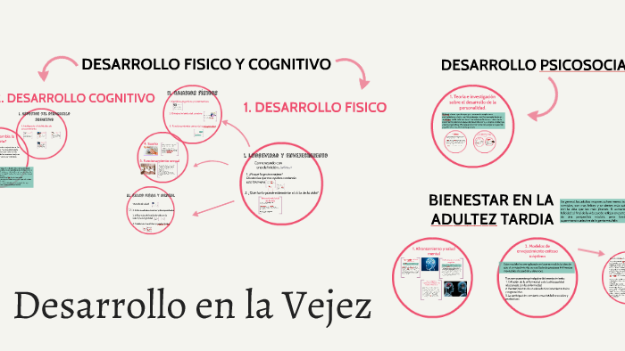 Desarrollo En La Vejez By On Prezi