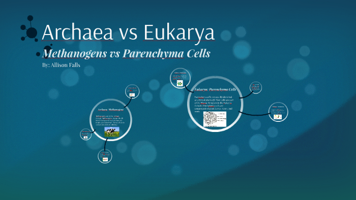 Archaea vs Eukarya by Allison Falls on Prezi