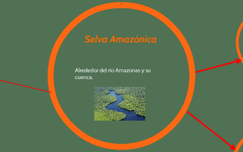 Selva Amazónica by colegio colegio on Prezi