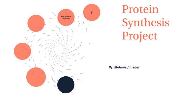 Protien Synthesis Project Protein Synthesis Project by Melanie Jimenez on Prezi