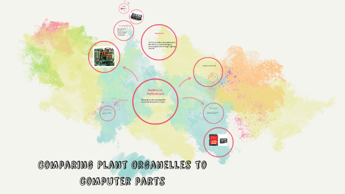 Organelle Computer Comparing Plant Organelles to Computer Parts by Blessing Uchunor on Prezi