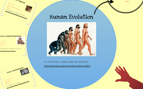 Human Evolution by Ellie Martin on Prezi