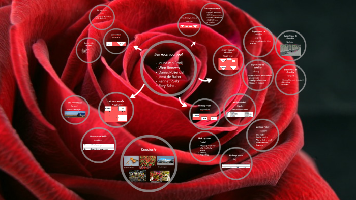 Een Roos voor jou! by on Prezi