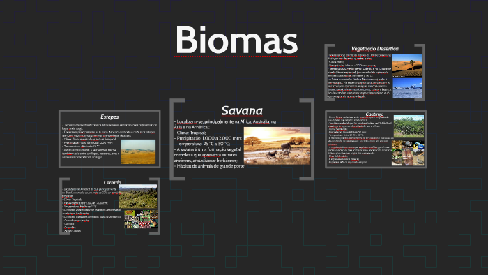 Biomas by Mauricio Santin on Prezi