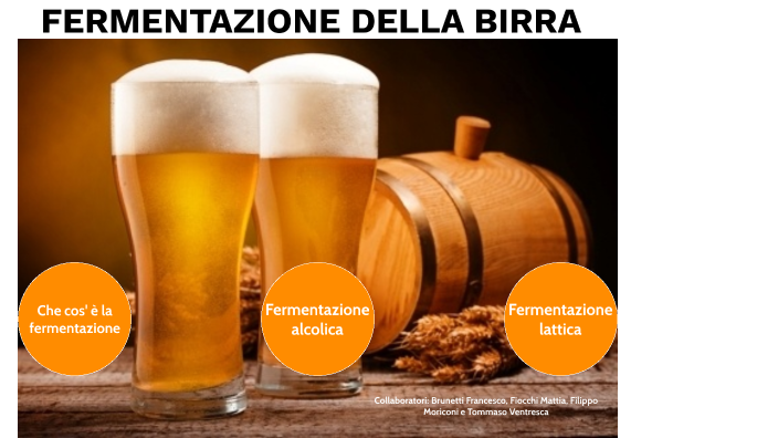 Come Avviene La Fermentazione Della Birra – BQSHA