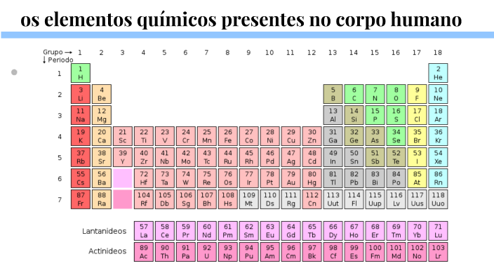 os elementos quimicos presentes no corpo humano by lara santos on Prezi