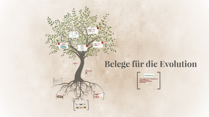 Belege für die Evolution by Mathilde Schmohl on Prezi