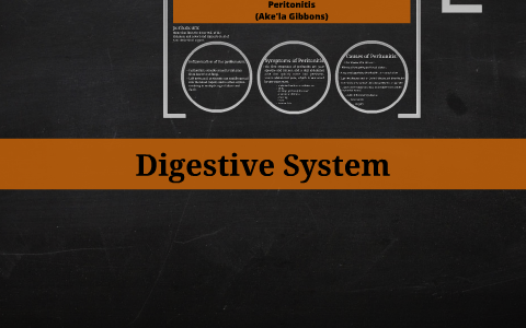 The Digestive System by on Prezi