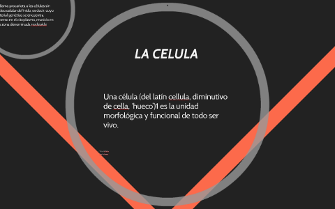 LA CELULA by deniseylourdes gomezyguillen on Prezi