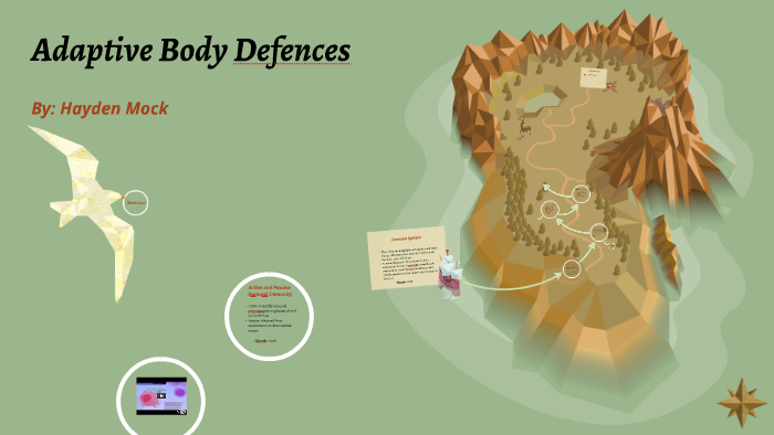 Adaptive Body Defences by on Prezi