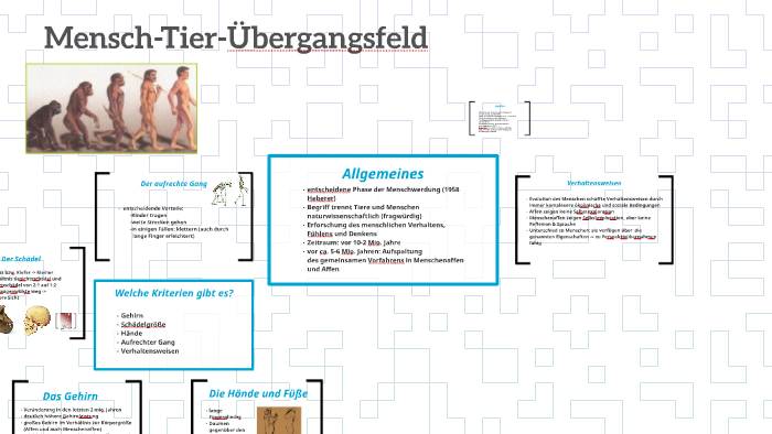 Was Unterscheidet Mensch Von Tier Mensch-Tier-Übergangsfeld by Nele Reimann on Prezi