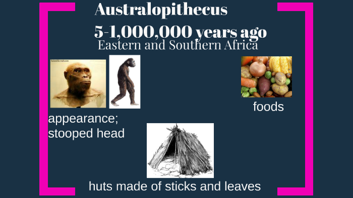 Timeline of Early Humans by promise adeliyi