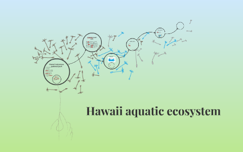 Hawaii aquatic ecosystem by John Matheny on Prezi