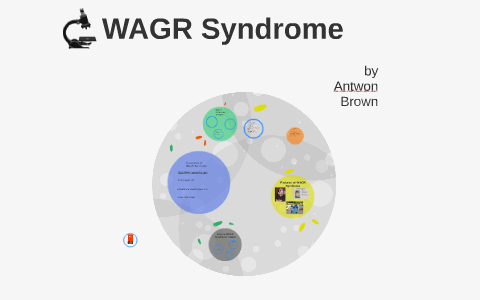 WAGR Syndrome by antwon brown