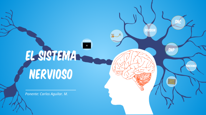 El Sistema Nervioso by Carlos Aguilar Mejia on Prezi