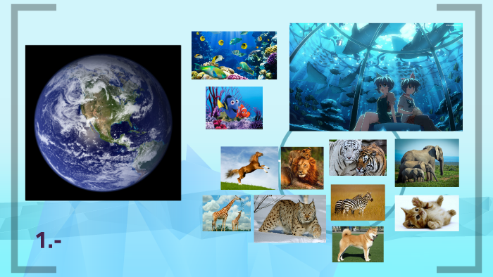 10 facts about the ocean by Heidy Maldonado on Prezi