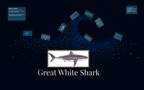 Shark! Hunting the Great White - Carnivores Wiki