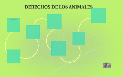 DERECHOS DE LOS ANIMALES by Karen Luis on Prezi