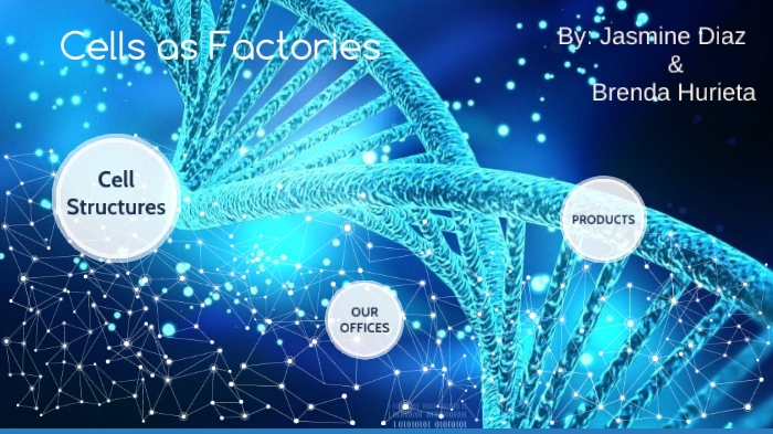 Cells As Factories by Jasmine Diaz on Prezi