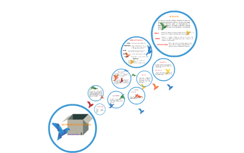 MI PROYECTO DE VIDA by Alexandra Mora on Prezi
