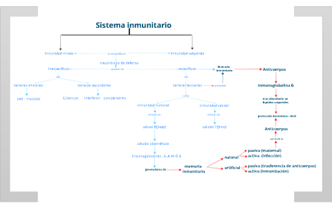 mapa conceptual relaciones inmunoglobulina G inmunidad adquirida by  vladimirk jurado on Prezi Next