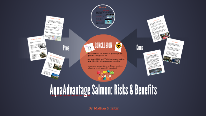 AquaAdvantage Salmon Risks and Benefits by Mathan Murugathasan on Prezi