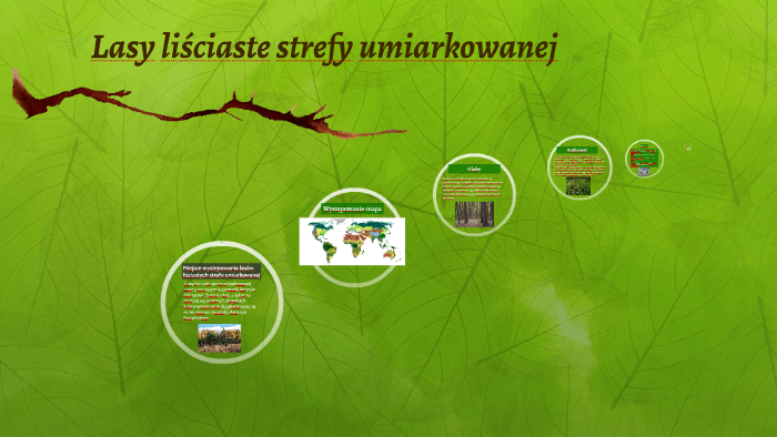 lasy-li-ciaste-strefy-umiarkowanej-by-mateusz-dudek-on-prezi