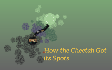 How the Cheetah Got its Spots by Will Tisdall on Prezi