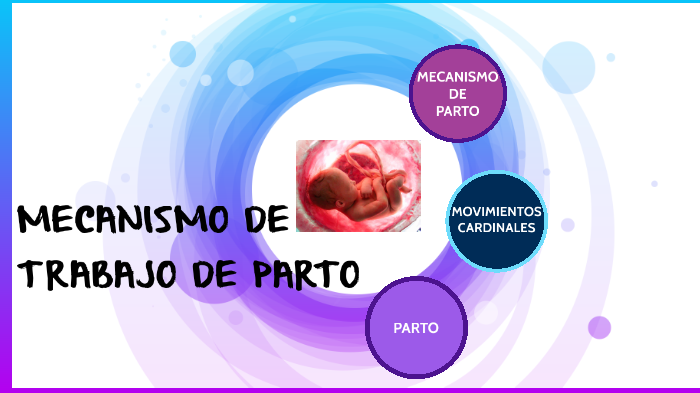 movimientos cardinales del parto movimientos cardinales del parto