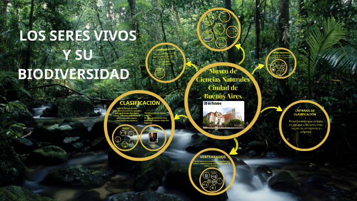 Los seres vivos y su biodiversidad by Roxana Zappone