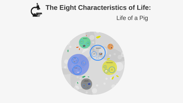 the-eight-characteristics-of-life-by-natalie-wehrle