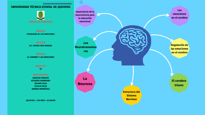 EL CEREBRO Y SUS EMOCIONES by Vanessa Paredes on Prezi