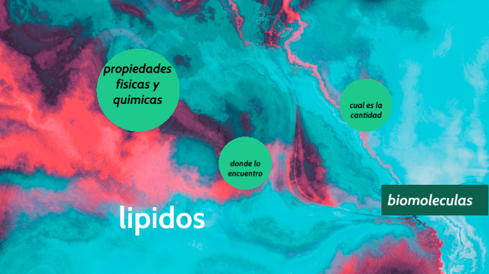 Lipidos By Noe Hernandez On Prezi 4679