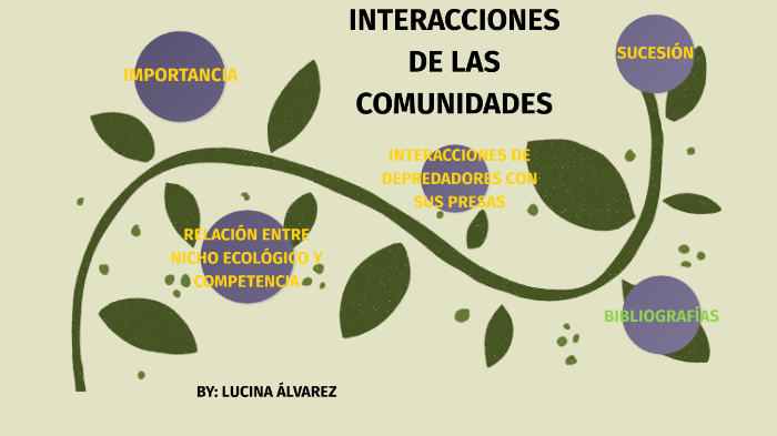 Interacciones De Las Comunidades By Lucina Alvarez On Prezi