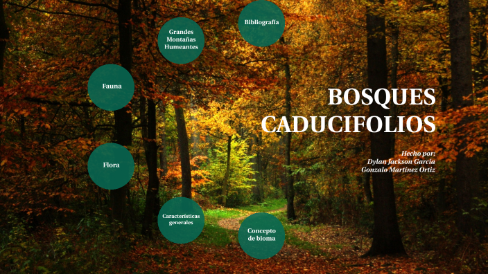 animales y plantas del bosque caducifolio