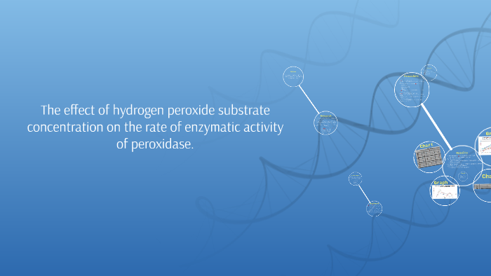 The effect of Hydrogen Peroxide substrate concentration on t by Shivani ...