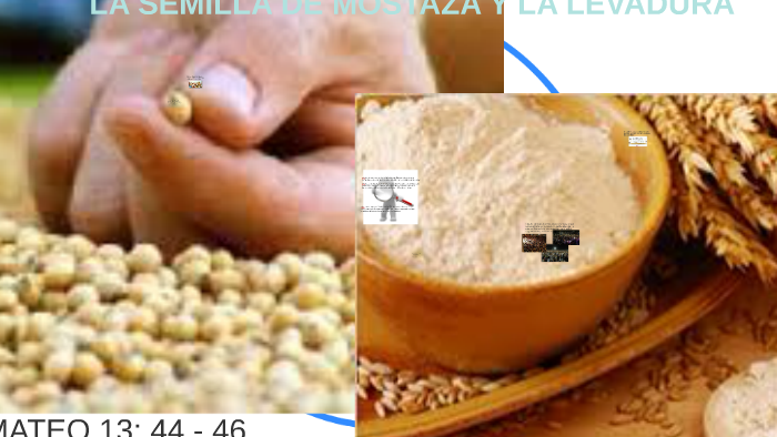 LA SEMILLA DE MOSTAZA Y LA LEVADURA by elo de la cruz on Prezi