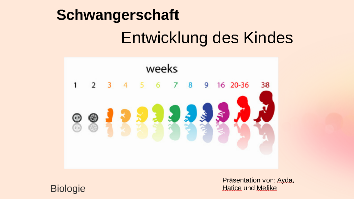 Schwangerschaft By Hatice Arkin On Prezi