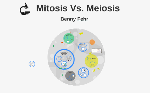 Mitosis vs. Meiosis: Key Differences, Chart and Venn Diagram