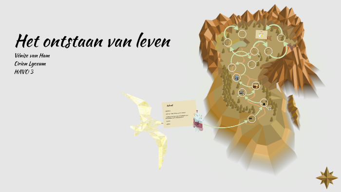 Het Ontstaan Van Leven By Vénise Van Ham