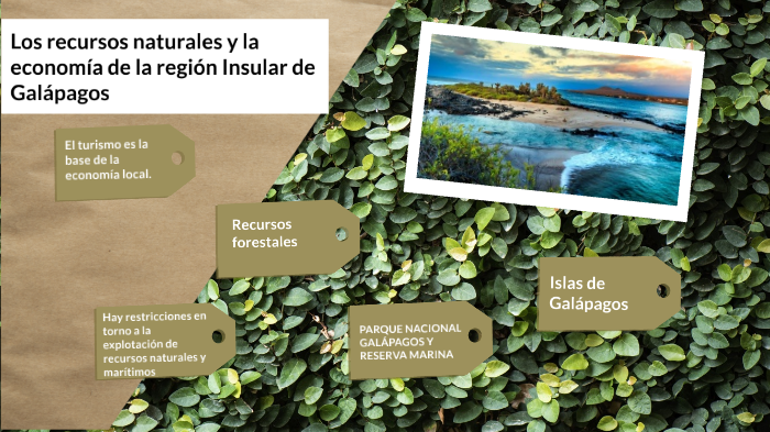 Los recursos naturales y la economía de la región Insular de Galápagos ...