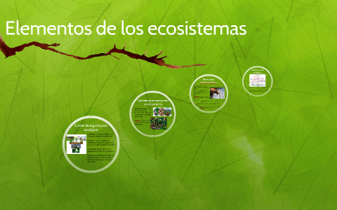 Elementos de los ecosistemas by Karolyn Judith on Prezi