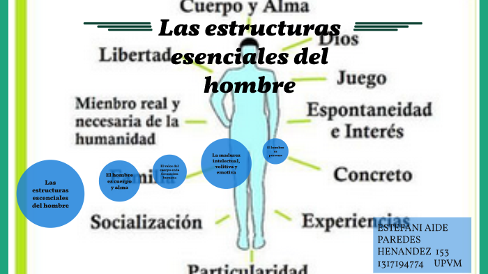 Las estructuras esenciales del Hombre by estefani hernandez on Prezi