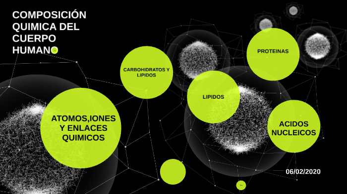 COMPOSICIÓN QUIMICA DEL CUERPO HUMANO by Katherine Navarro on Prezi