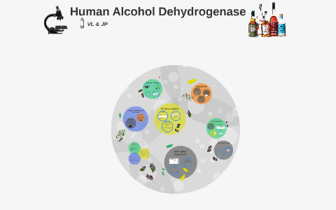 research paper on alcohol dehydrogenase