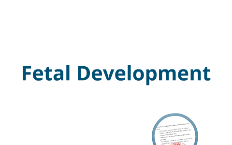 Fetal Development by Leah Moser on Prezi